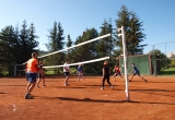 Company tournament Volleyball